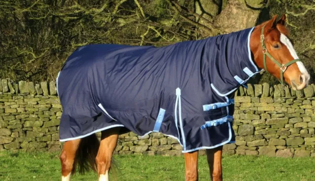 Horse Winter Navy 200g & 350g Fill Combo Mediumweight Heavyweight Turnout Rug