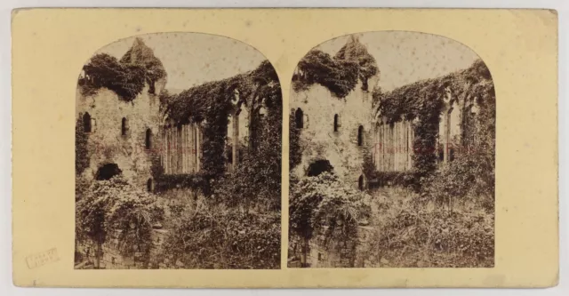 UK Tintern Abbey Innen Ruinen c1860 Foto T. Hulme Stereo Vintage Albumin