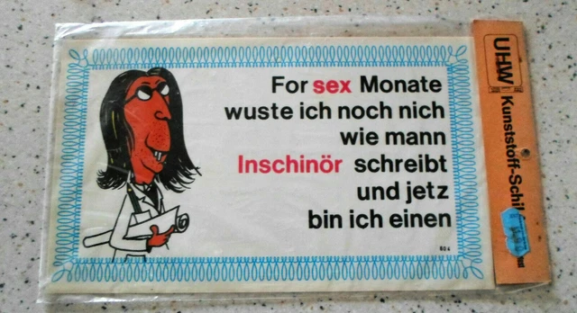WITZIGER SPRUCH SCHILD "Ingenieur" Kunststoffschild Sponti 70er EUR 9