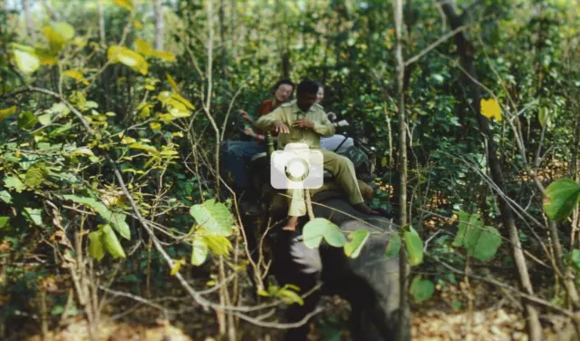 Tourists Riding On An Elephant Through Jungle India 2004 Original 35mm Slide