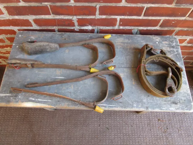 Vintage Tree Pole Climbing Spurs Belt Buckingham Klein Climbing Hooks Linemans