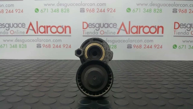 393535 Tendeur De Courroie Auxiliaire Pour Renault Clio Iii | 117503662R