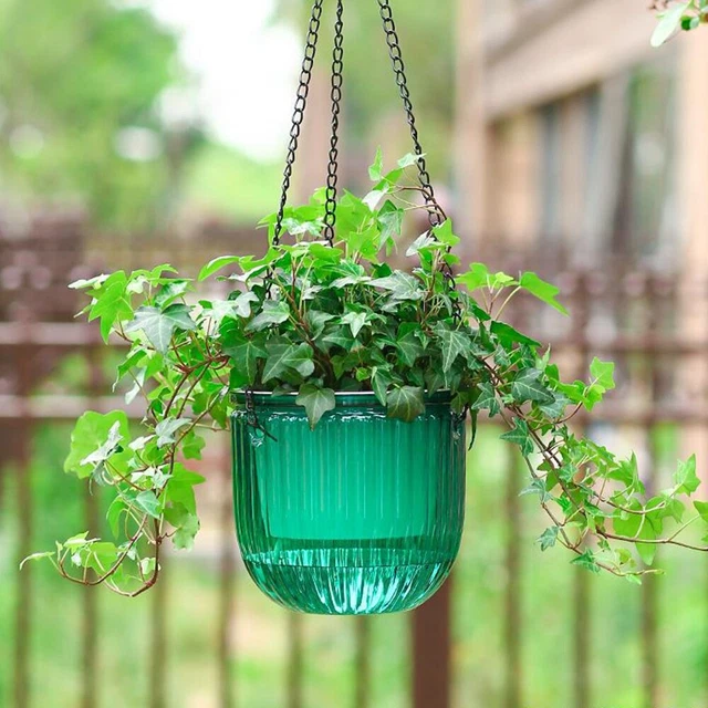 Bassin suspendu Pot de fleurs hydroponique Planteur Panier Pot de fleur