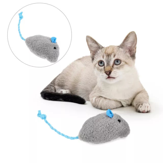 5 pz gattini giocattoli da masticare per gatti portatili
