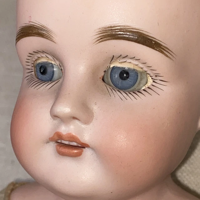 Antique 16" German Bisque Shoulder Head Doll 15+DEP 5 Armand Marseille Beauty!