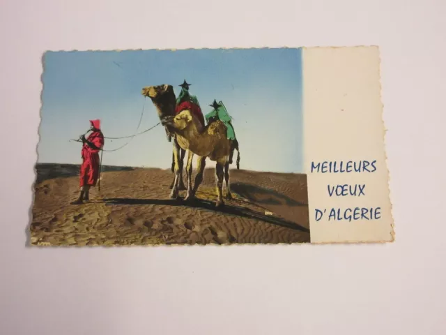 CP CARTE POSTALE AFRIQUE ALGERIE CHAMEAUX et CHAMELIER - Carte de Voeux 1957