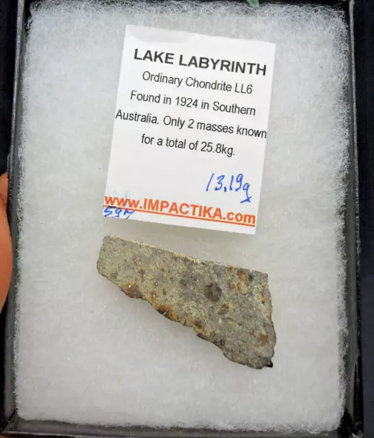 13.19 gram - LAKE LABYRINTH METEORITE slice - LL6 Chondrite - 1924 in Australia