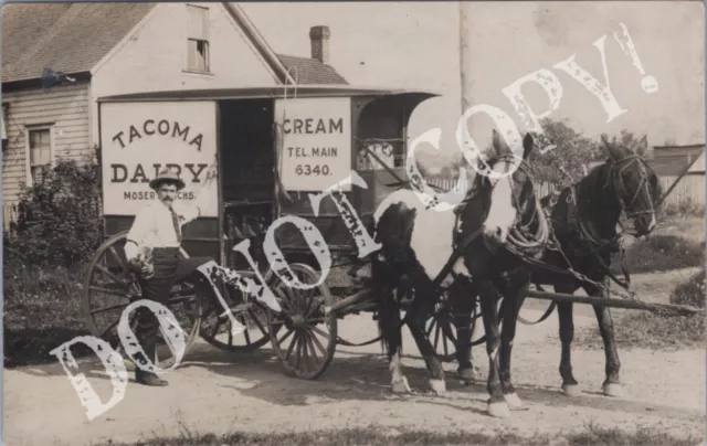 RPPC-Tacoma WA-Delivery Wagon-Dairy-Horses-Pierce County-Washington-Real Photo