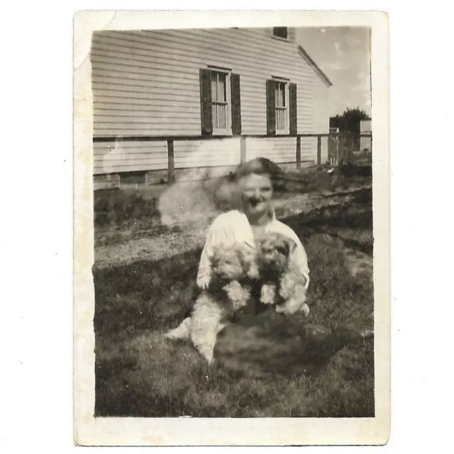 Antique Photo Young Lady Holding Terrier Puppies Outside Dogs Vintage Snapshot