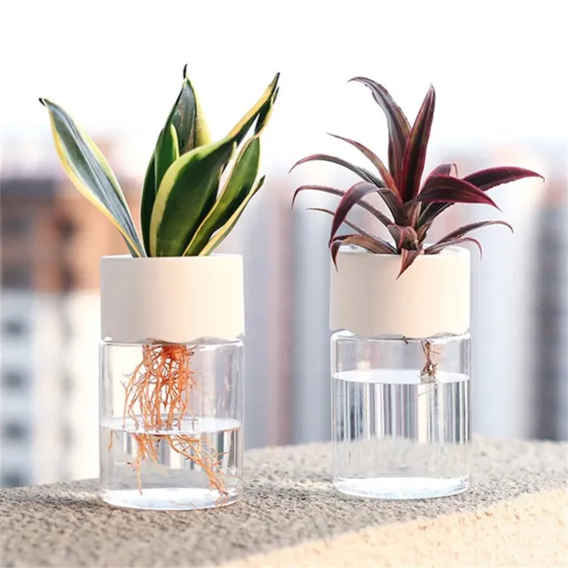 Mini Pot de Fleur Vase Transparent Décoration Maison Hydroponique