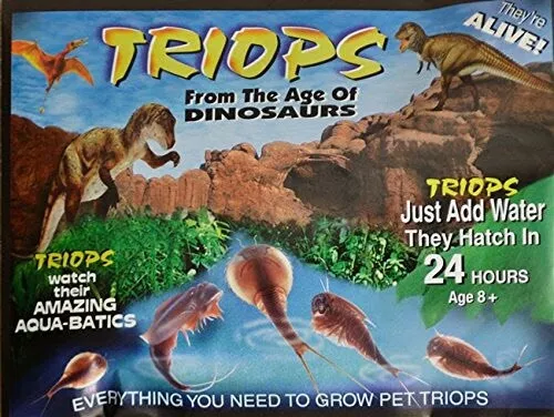 Triops Pet Eggs Packet &/or Instant Life Sea Monkey Kit Prehistoric Creatures 3