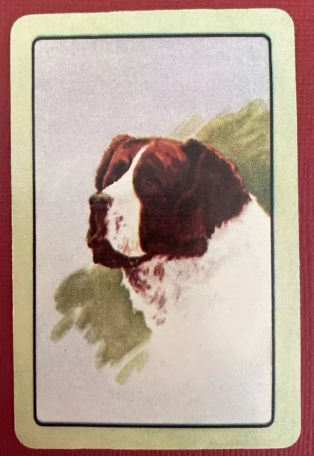 Playing card / swap card Coles unnamed dog St Saint Bernard genuine vintage