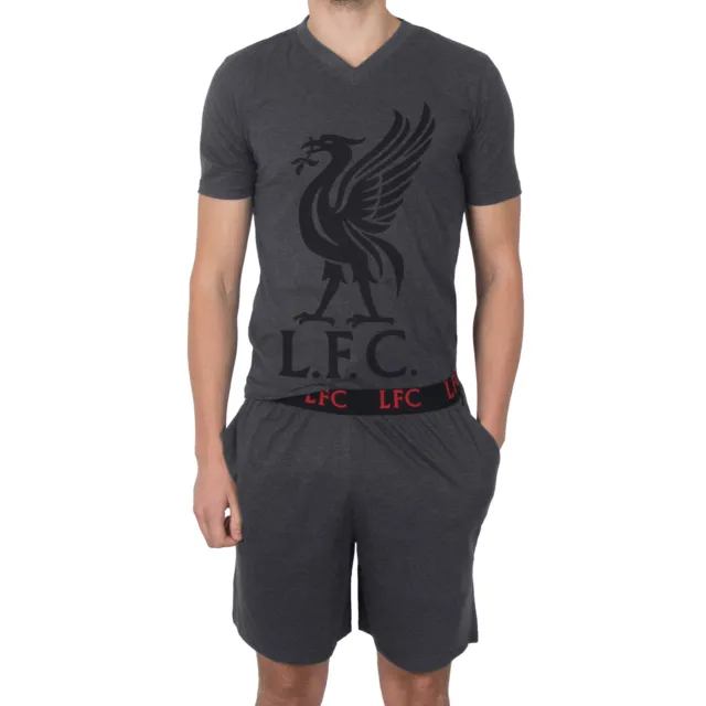 Pigiama/homewear ufficiale Liverpool FC - corto - uomo