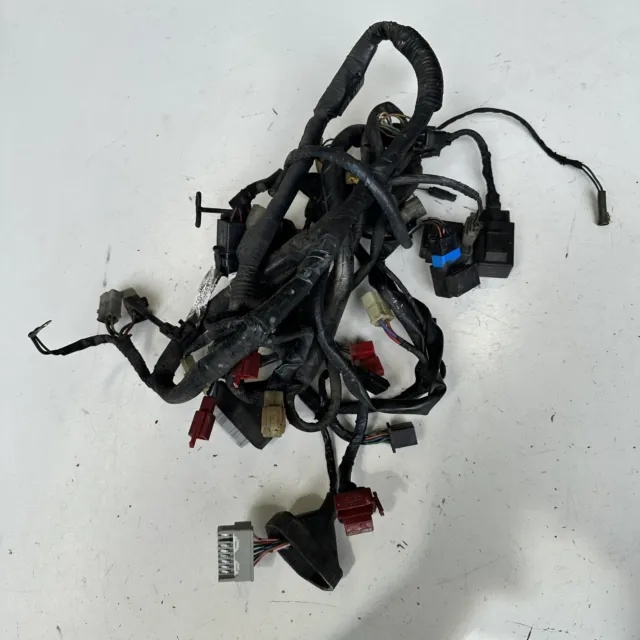 Honda CBR600 1998 Main wiring loom harness cables plugs