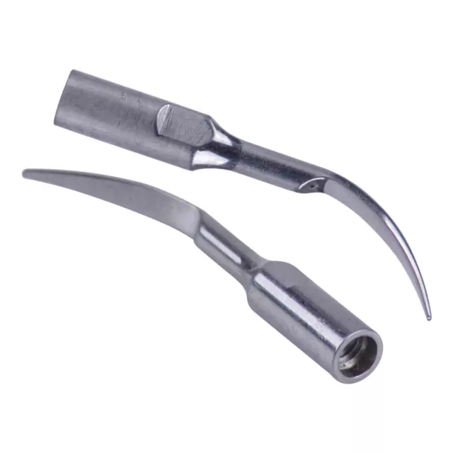 5X Dental Scaling Tips GD1 fit for Satelec DTE Ultrasonic Scaler Handpiece SALE 2