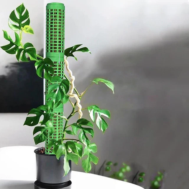 1/2Pcs Climbing Plant Indoor Plant Support Extension Pole Stick Garden Tool ❤XH