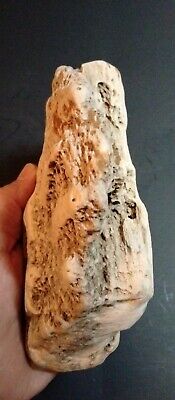 Prehistoric Paleo-American, petrified wood, rock art sculpture, multi tool.