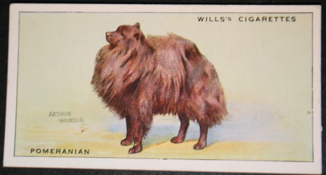 POMERANIAN    Original 1930's Vintage Card  QC24M