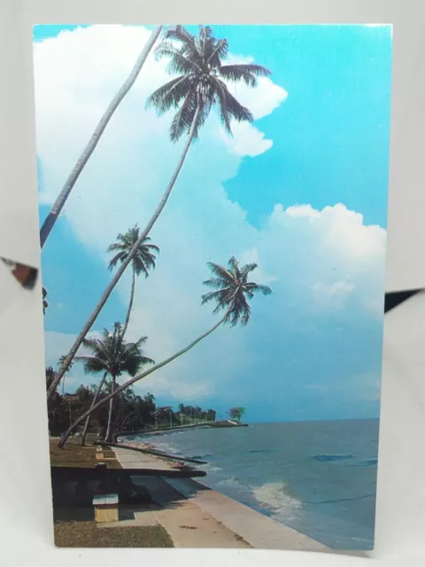 Bedok Beach Changi Singapore Vintage Postcard