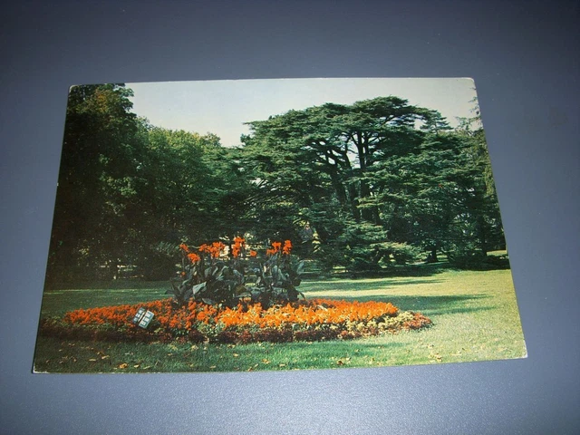 CP CARTE POSTALE VAL d'OISE MONTMORENCY Le PARC - Ecrite