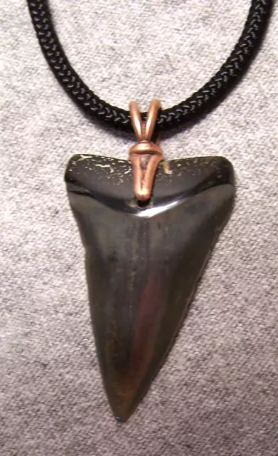 Mako Shark Tooth Fossil Teeth Necklace  1 11/16" Wireless Polished Megalodon Jaw