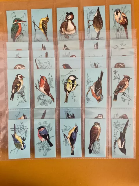 tea cards British birds Tetley 1970 full set