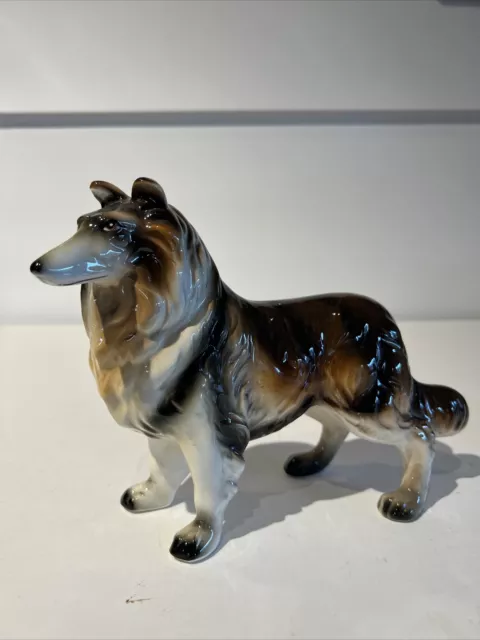 Vintage Tri Color Collie Dog Figurine  High Gloss Porcelain 9x7