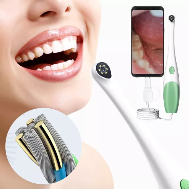 Intraorale Kamera USB Intraoral Camera Intraoralkamera HD Mund Oral Endoskop