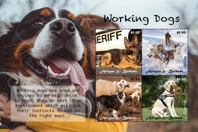 WORKING DOGS (Police/Sled/Herd/Guide) MNH 4v-Stamp Sheet 2020 Antigua & Barbuda