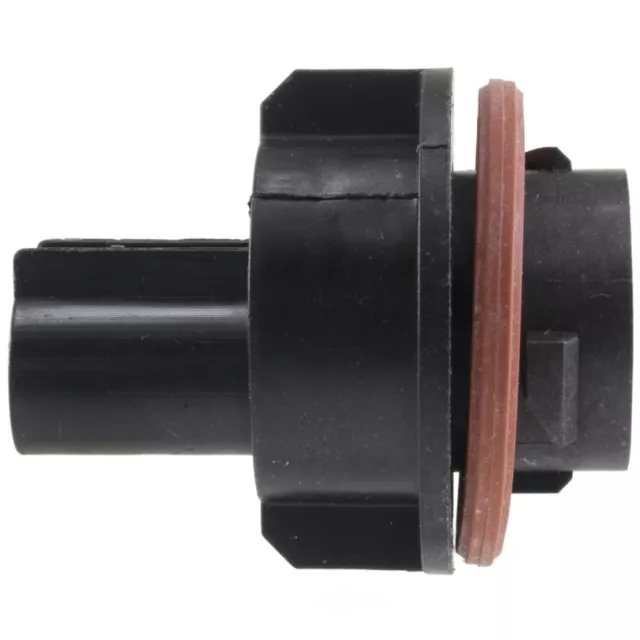 Daytime Running Lamp Socket fits 2005-2007 Saturn Relay  WVE BY NTK
