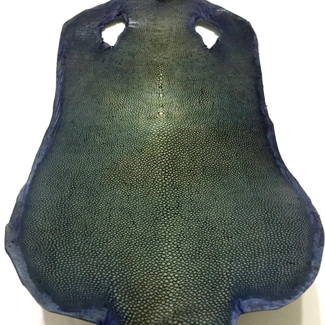 Cuero Oculto Piel Graya Pulido Genuino Piel de Shagreen Envío Gratuito # 14