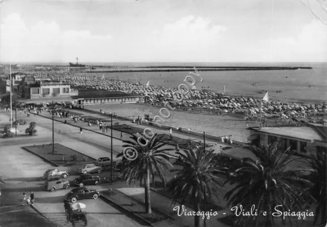 Cartolina Viareggio Viali e spiaggia 1955