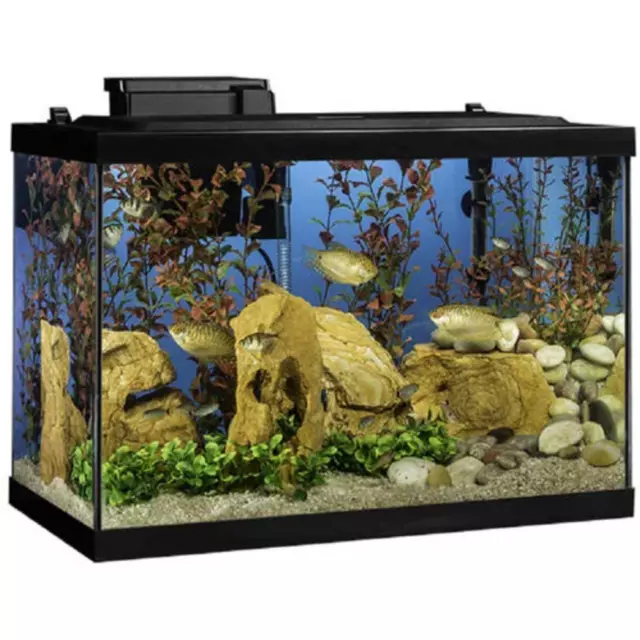20-Gallon LED Glass Aquarium Starter Kit with Filter, Heater & Plants