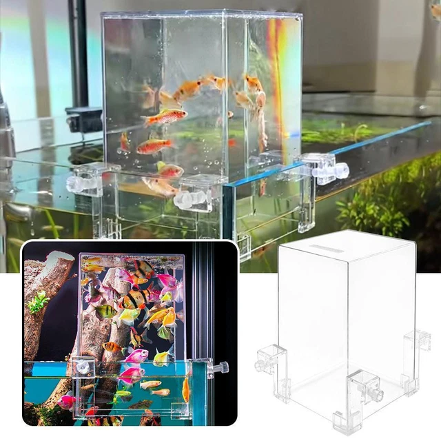 Small Aquarium Home Decor Fish Tank Betta Aquariums For Desktop new Decor B4K9