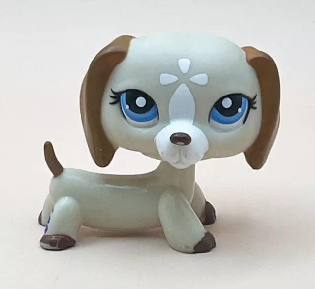 Authentic Littlest Pet Shop LPS Tan White Dachshund Dog Blue Eyes #1491