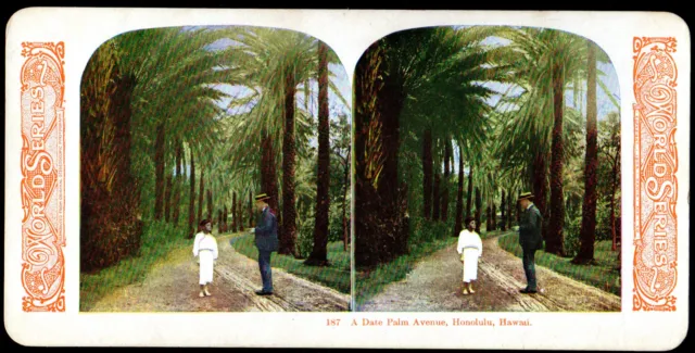 Date Palm Avenue Honolulu HAWAII 1905 World Series 187 Kawin & Co. STEREOVIEW