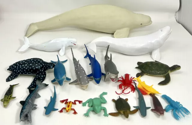 Ocean Life Beluga Whales Sharks Sea Turtles Sea Animals Ocean Beach TOYS