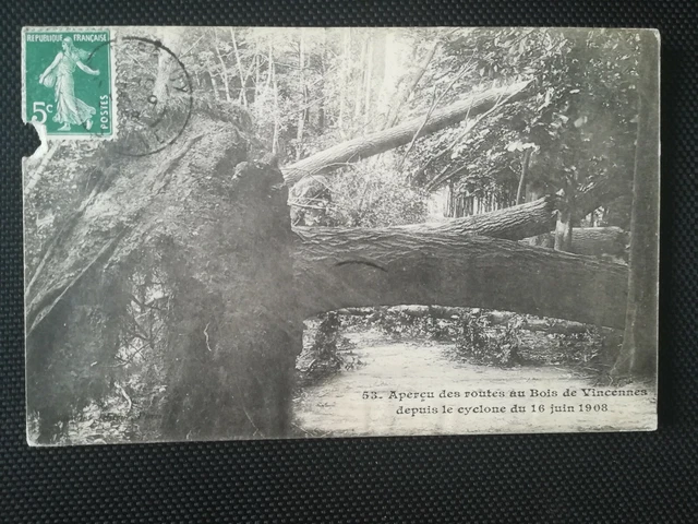CPA 75 PARIS - Overview of the Wood Routes of Vincennes since the Cyclone
