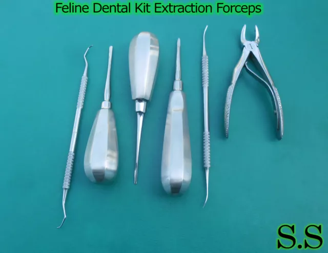 Feline Dental Kit Extraction Forceps Small Animal Dentistry Picks & Prob DN-2177