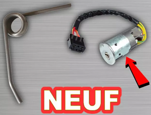 POUR RENAULT TWINGO I 1 CLIO II 2 Commutateur d'allumage Baril Rép. de Printemps