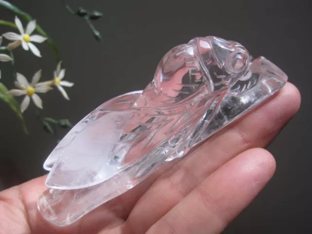 A*90g Natural Clear Quartz Crystal Cicada & Bamboo Carving ART 090903