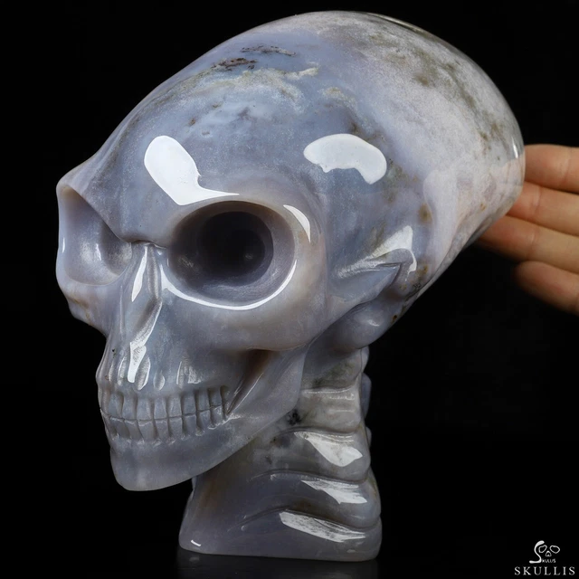 6.4" Indian Agate Hand Carved Crystal Elongated Mayan Alien Skull with Spine 6.4" Indian Agate Hand Carved Crystal Elongated Mayan Alien Skull with Spine