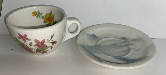 Great Northern Railroad Dining Car Mountains & Flowers cup and saucer