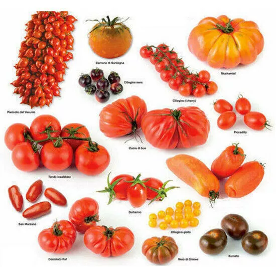 300 Semillas De Tomate En Mezcla 15 Variedades + Gratis