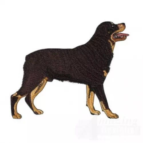 Embroidered Ladies T-Shirt - Rottweiler AD019  Size S - XXL