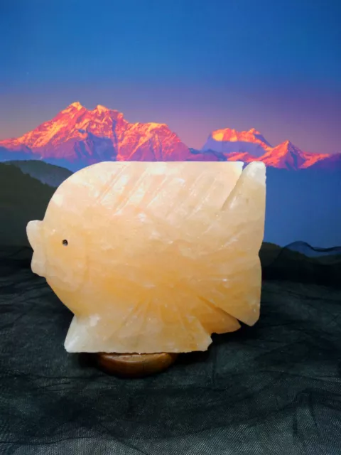 LAMPADA DI SALE dell'Himalaya 100% certificata pesce sale rosa