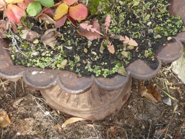 Vase Pflanzgefäß Blumentopf  Pokal urn Brunnen Steinfiguren Berlin Pflanzgefäß 2