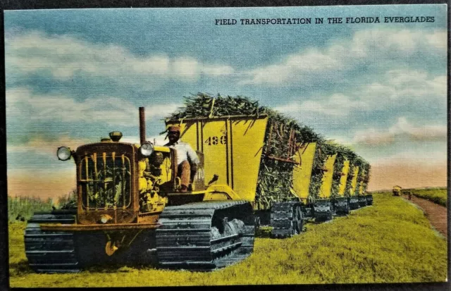 Occupations: Black Man Drives Tractor, Sugar Harvest in Everglades, FL. Linen.