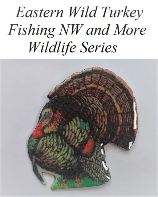"1" Eastern Wild Turkey - Wildlife - Series