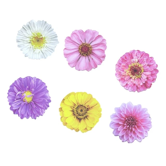 25 SHEET FLOWERS Shape Note Auto-Stick Memo Note Writing Pad Auto ...